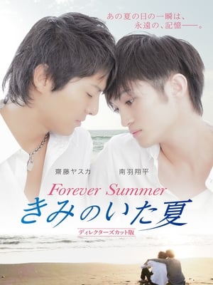 Télécharger きみのいた夏　ディレクターズカット版 ou regarder en streaming Torrent magnet 