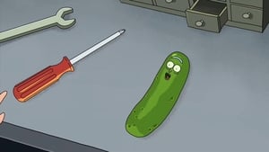 Rick and Morty Season 3 :Episode 3  Pickle Rick