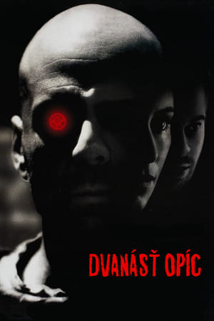 Poster Dvanásť opíc 1995