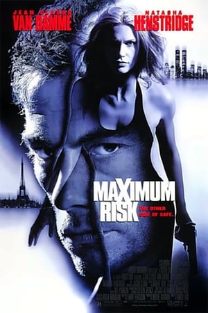 Poster Maximum Risk 1996