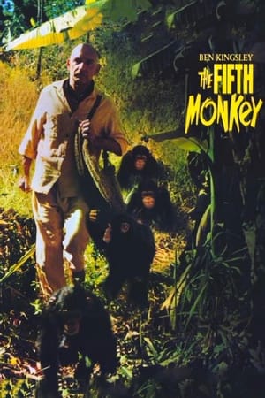 Poster The Fifth Monkey 1990