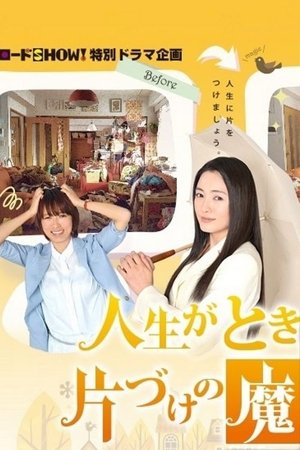 The Life-Changing Magic of Tidying Up (2013)