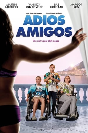 Poster Adios amigos 2016