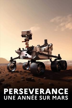 Image Perseverance, ein Jahr auf dem Mars