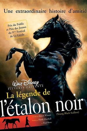 Poster La légende de l'étalon noir 2003