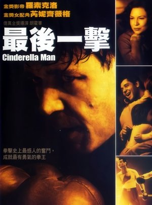 铁拳男人 2005