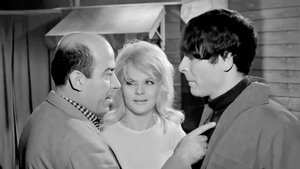 Ο παπατρέχας (1966)