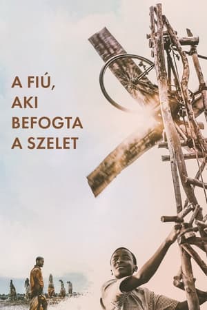 Image A fiú, aki befogta a szelet