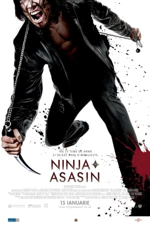 Image Asasinul ninja