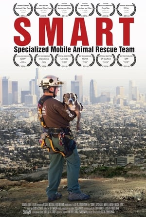 Smart (2015)