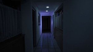 O (2024)