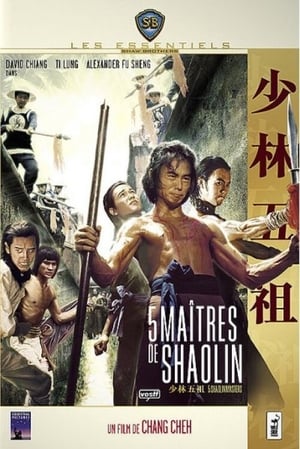 Télécharger 5 Maîtres de Shaolin ou regarder en streaming Torrent magnet 