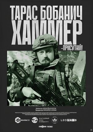Hammer (2025)