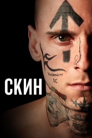 Poster Скин 2019