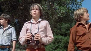 The Swarm (1978)