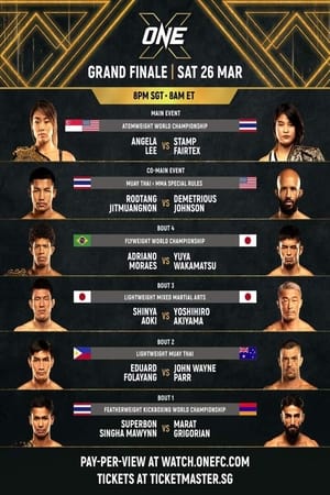 Image One Championship: X