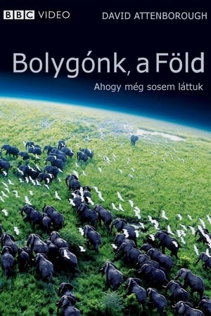 Image Bolygónk, a Föld