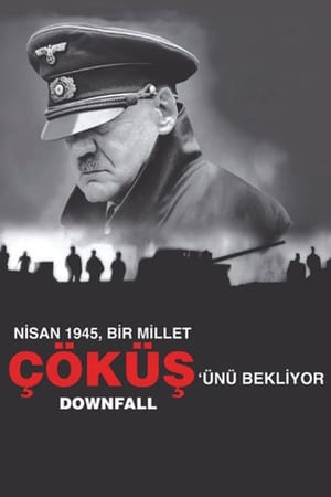 Çöküş 2004