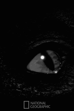 Prehistoric Monsters Revealed (2008)