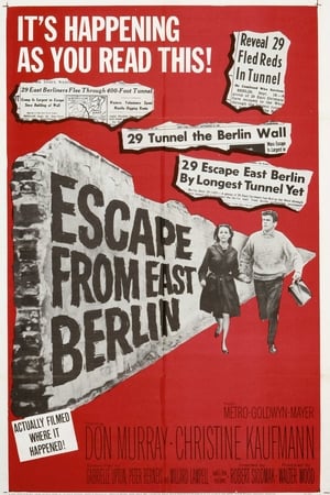 Image Escape from East Berlin