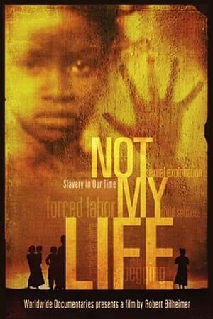 Poster Not My Life 2011