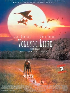 Poster Volando libre 1996