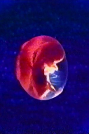Audio and Visual Experiment 23 (2025)