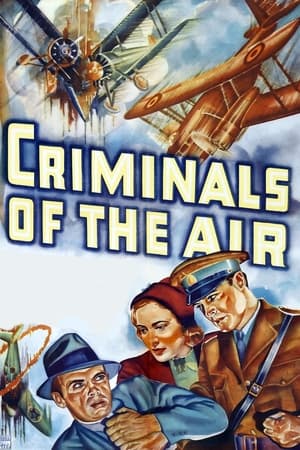 Télécharger Criminals of the Air ou regarder en streaming Torrent magnet 