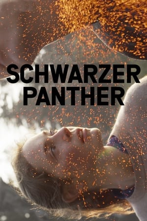 Schwarzer Panther 2013