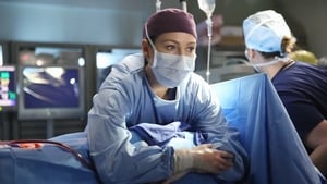 Grey's Anatomy Season 11 :Episode 15  I Feel the Earth Move