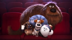 مشاهدة فيلم The Secret Life of Pets 2016 مترجم مباشر اونلاين