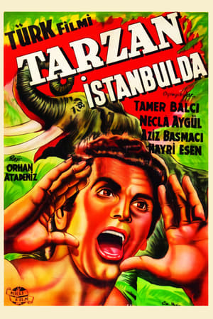Image Tarzan İstanbul'da