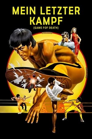Image Bruce Lee - Mein letzter Kampf