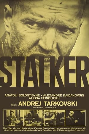 Image Stalker