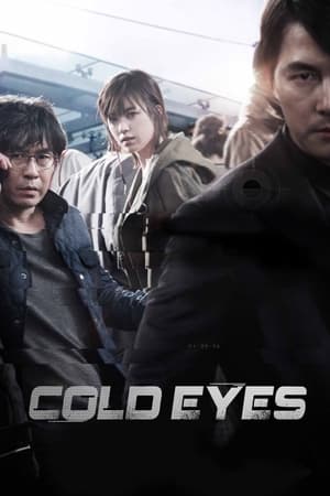 Poster Cold Eyes 2013
