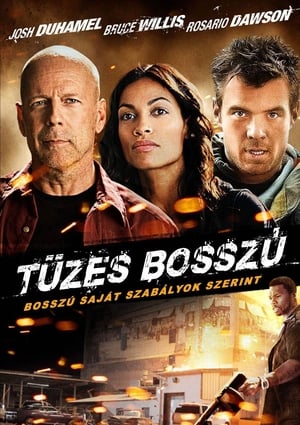 Poster Tüzes bosszú 2012