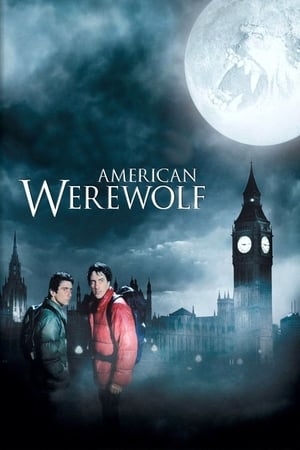 Poster American Werewolf 1981