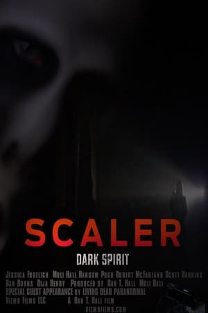Image Scaler, Dark Spirit