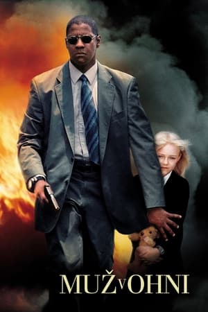 Poster Muž v ohni 2004
