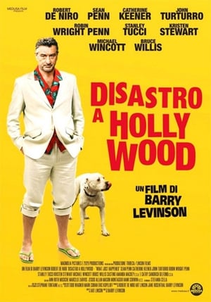 Poster Disastro a Hollywood 2008