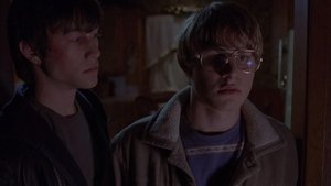 Mysterious Skin (2004)