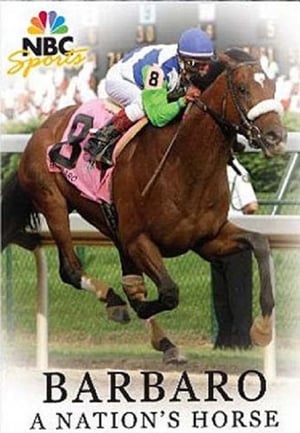 Image Barbaro: A Nation's Horse