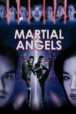 Poster Martial Angels 2001