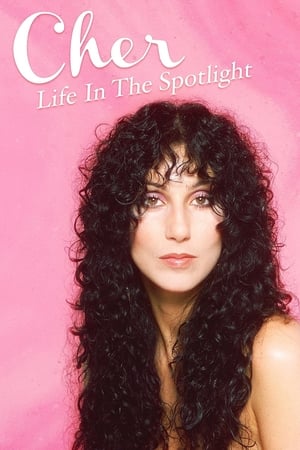 Télécharger Cher: Life in the Spotlight ou regarder en streaming Torrent magnet 