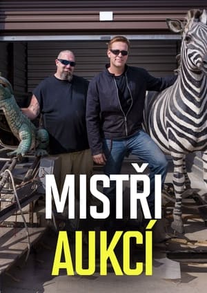 Image Mistři aukcí