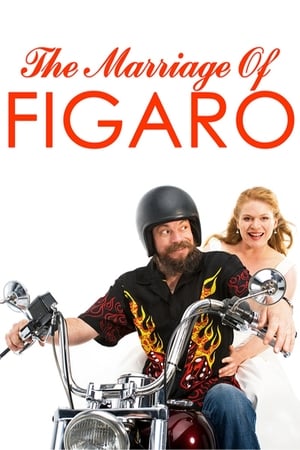 Télécharger The Marriage of Figaro ou regarder en streaming Torrent magnet 