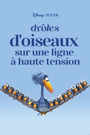 Image Drôles d'oiseaux sur une ligne à haute tension