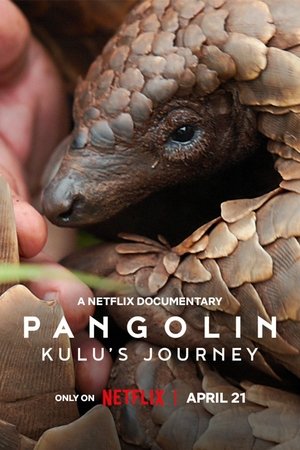 Pangolin: Kulu's Journey (2025)