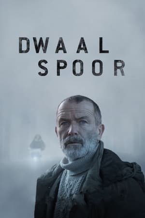 Poster Dwaalspoor 2021