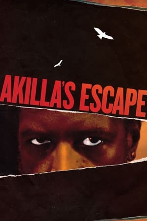 Image Akilla's Escape